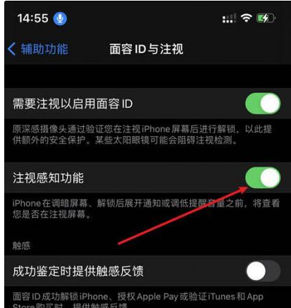 浩口原种场苹果14维修网点分享iPhone14注视感知功能有什么用 